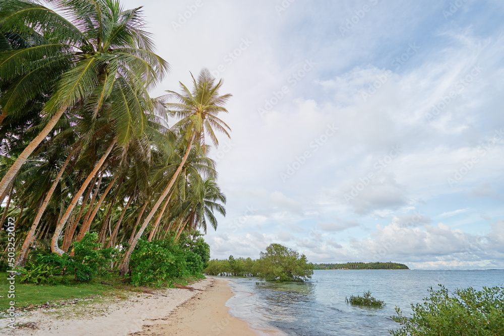 Exotic vacation and relaxation. Landscape with beautiful tropical beach with palm trees and blue sea.