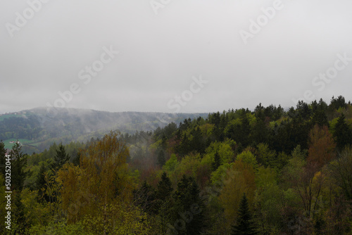 fog in the mountains