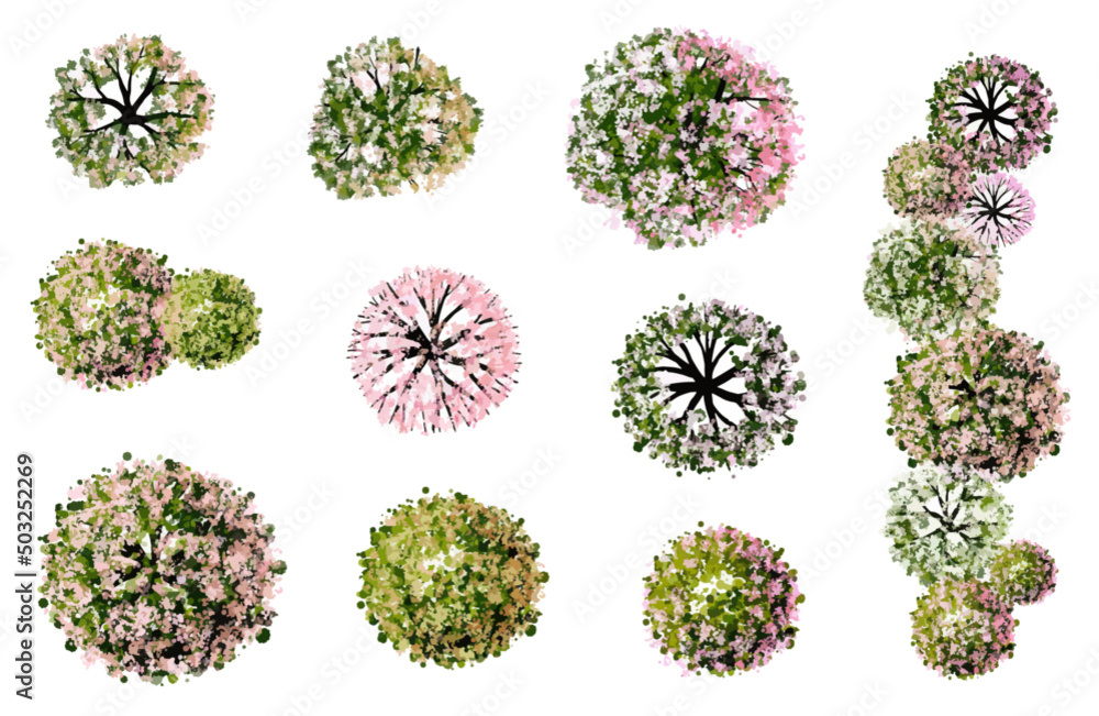 Vector set of tropical green tree and flower top view isolated on white