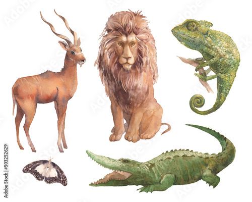 Watercolor african fauna illustration. Hand drawn set of animals isolated on white background  antelope kudu  butterfly  lion  chameleon  crocodile