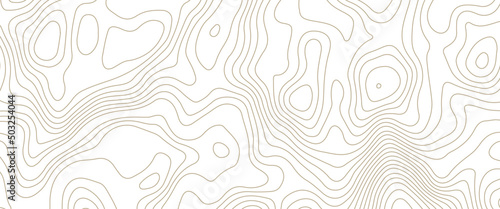 Fotografia White wave paper curved reliefs abstract background, Abstract topographic contours map, Topographic background and texture, monochrome