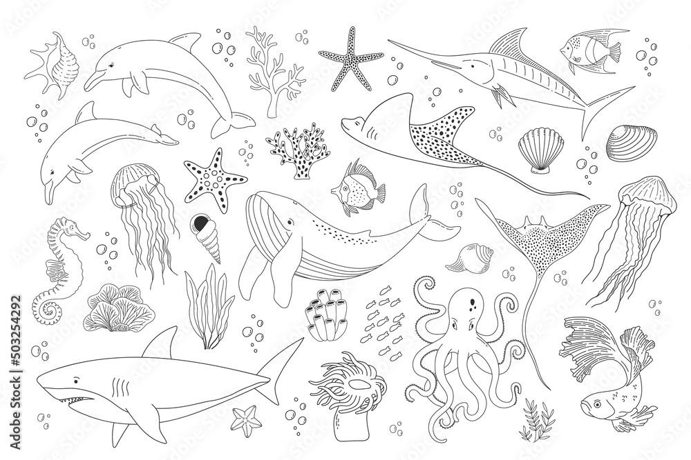 Set with hand drawn sea life elements. Vector outline collection of ...