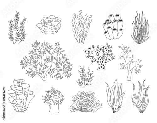 Trendy coral reef vector collection. Underwater ocean plants line icon set. Aquarium algae, laminaria, kelp water life isolated on white background.