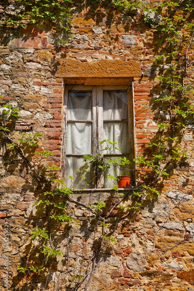 Montisi,antico, borgo, medievale,Montalcino, Siena Montisi,antico, borgo, medievale,Montalcino, Siena
