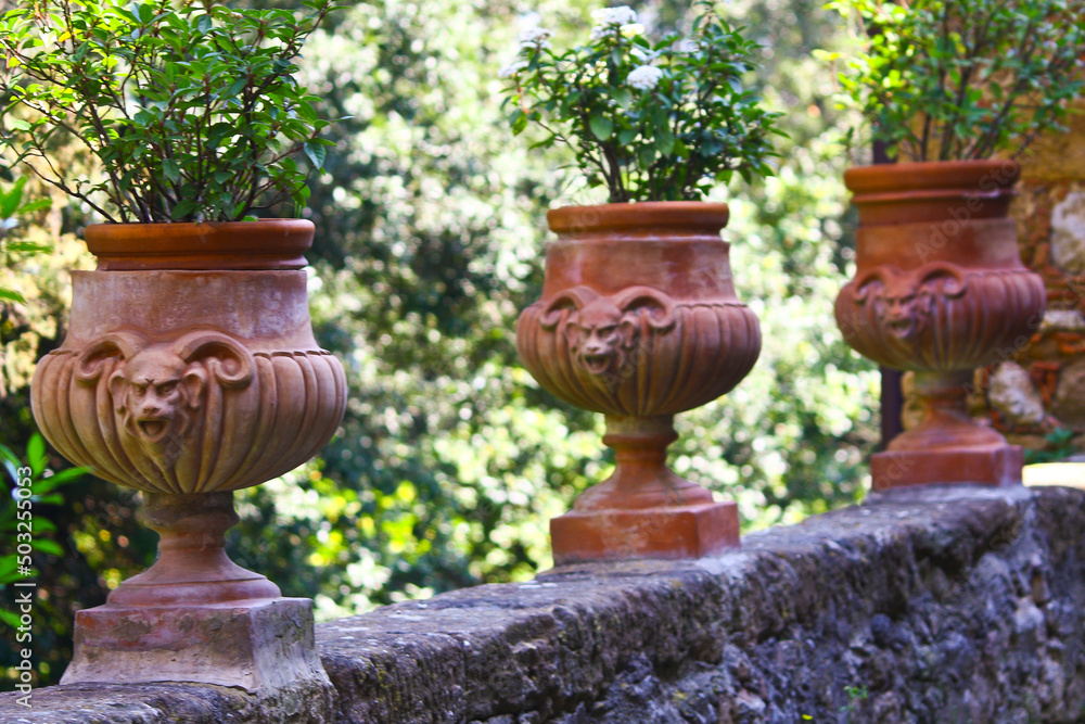 Montisi,antico, borgo, medievale,Montalcino, Siena Montisi,antico, borgo, medievale,Montalcino, Siena