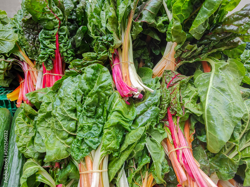 Rhubarb, rheum rhaponticum are sold at the farmers' market photo