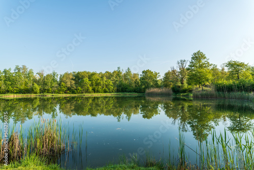 landscape with lake