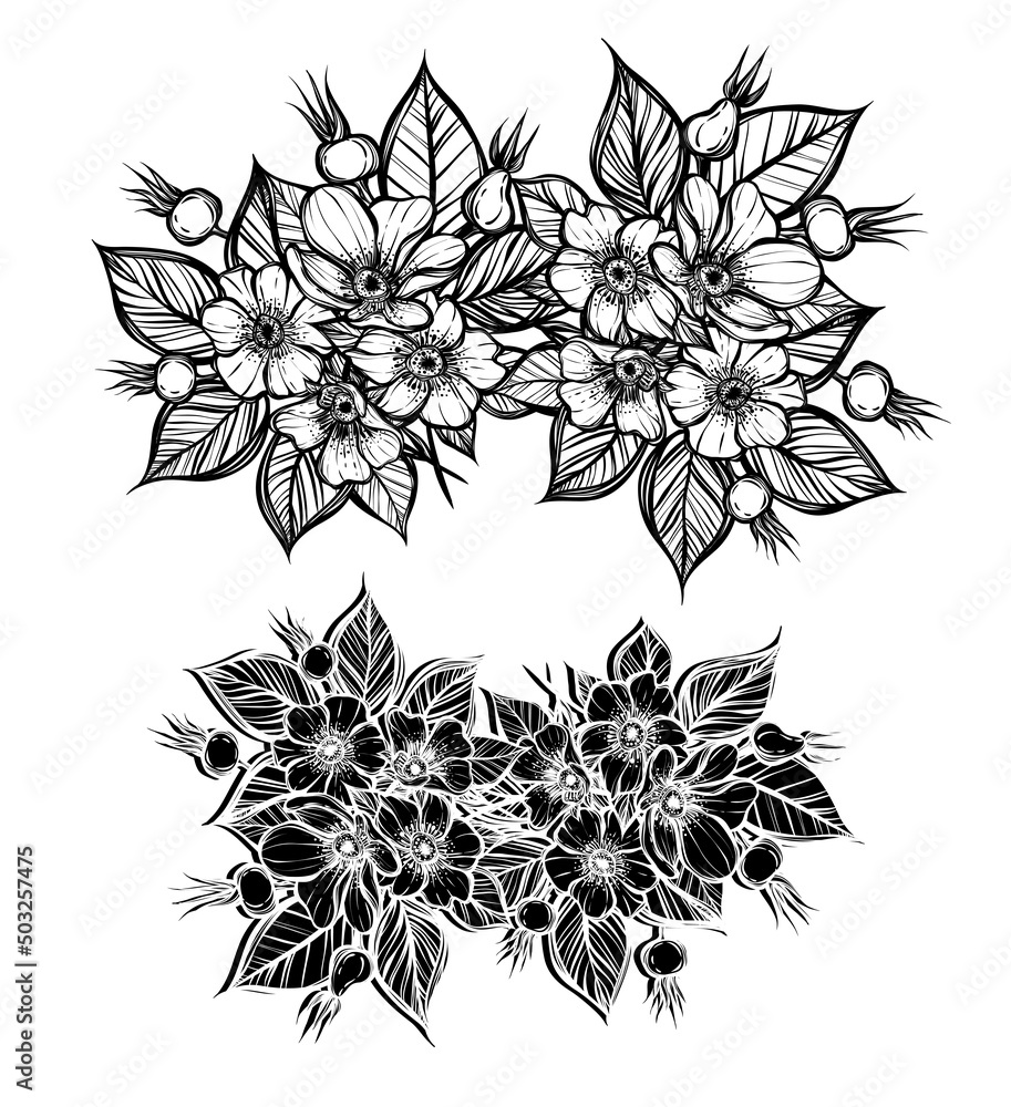 Vector illustration. Rosehip flowers, line art style, Handmade, card for you