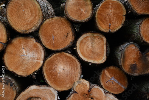 Carefully stacked pile of sawn wood logs