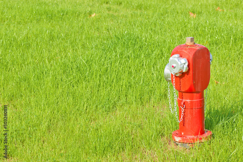 fire hydrant on grass