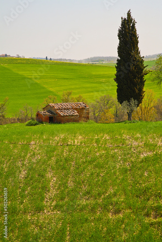 Val,d'Orcia,italy, siena, panorami photo