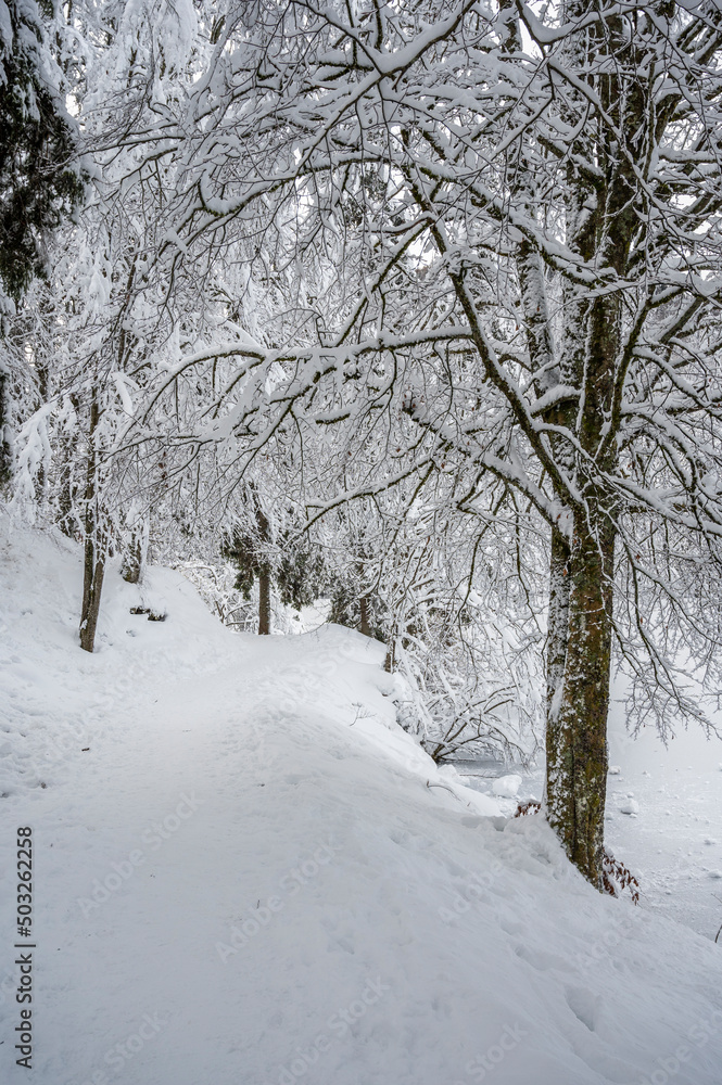 Fototapeta premium Winter on Lake Fusine. After a heavy snowfall.
