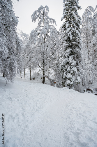 Winter on Lake Fusine. After a heavy snowfall.