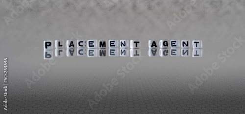 placement agent word or concept represented by black and white letter cubes on a grey horizon background stretching to infinity