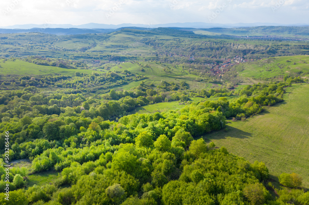 Aerial view of vibrant green pasture and forest in the spring