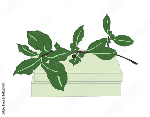 Interior decor vector illustration