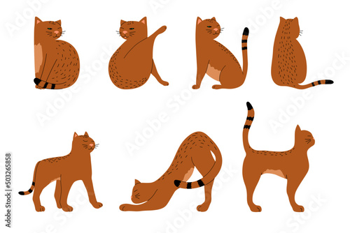 Isolated hand-drawn vector illustrations of cat in different poses. Сat with brown striped fur.