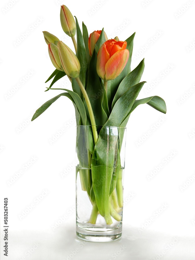 posy of red and yellow tulips close up posy of red and yellow tulips close up