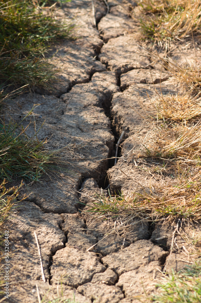 Closeup view of deep cracks in the ground due to drought with dry grass