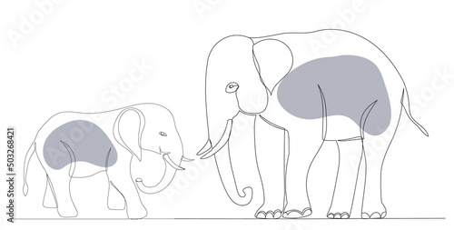 elephant drawing in one continuous line, isolated, vector