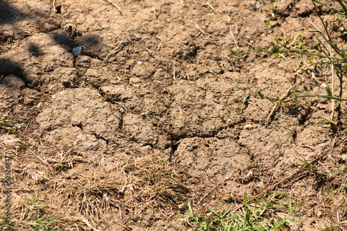 Closeup view of drought-cracked soil with dry grass with selective focus on foreground