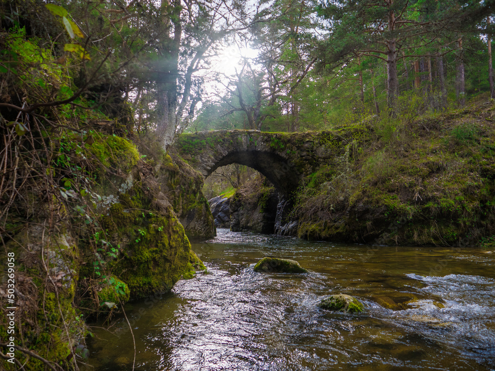 bridge over the natural river at the park bridge over the natural river at the park