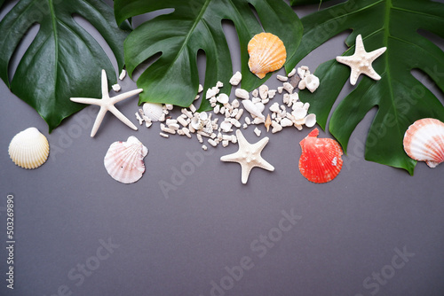 Colorful Shells and Tropical leaves on dark gray background. Summer Marine concept top view. Colorful Shells and starfish composition on dark background. photo