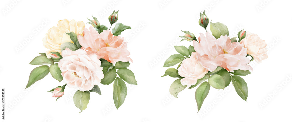 Set of rose flower decorative watercolor