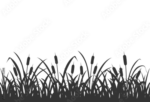 Dark silhouette of marsh grass with reeds. Background with marsh vegetation on white.