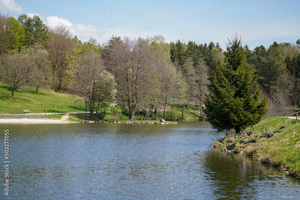 Bavarian Forest in spring with fresh greenery and blossoming trees