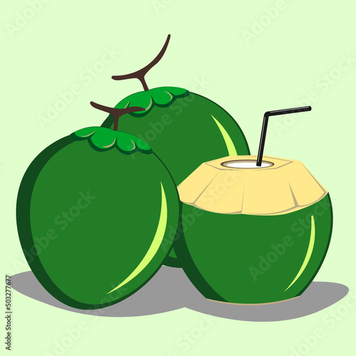 Coconut graphic vector illustration, suitable for beverage promotion with tropical or summer theme, etc