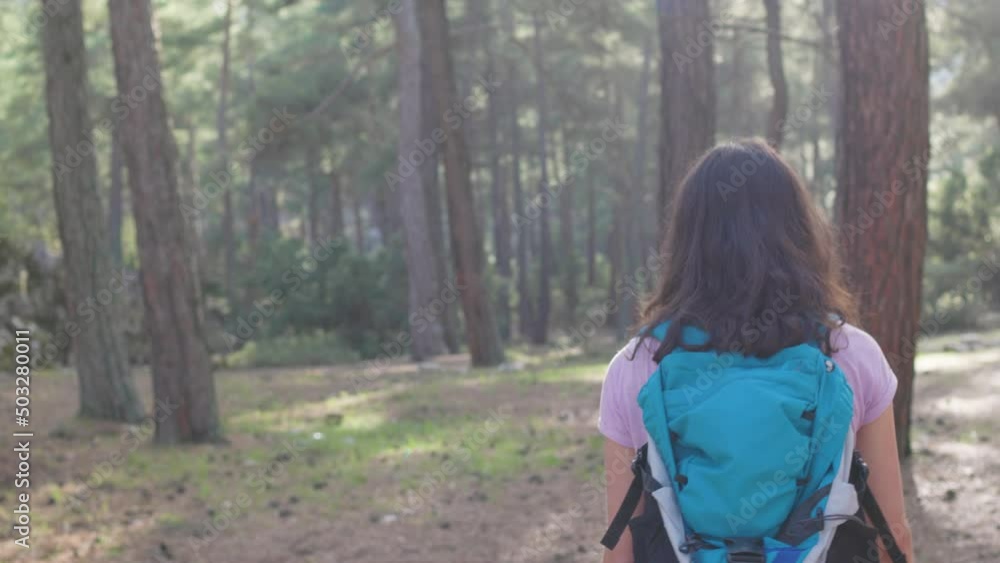 smiling girl walks through the forest with a backpack, hiking in the forest on a sunny day. smiling girl walks through the forest with a backpack, hiking in the forest on a sunny day.