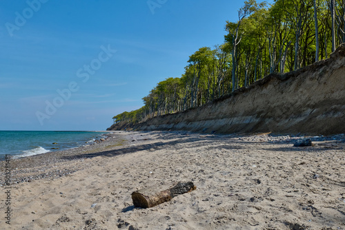 Fototapeta Naklejka Na Ścianę i Meble -  Beach, Baltic Sea and forest (Gespensterwald Nienhagen)