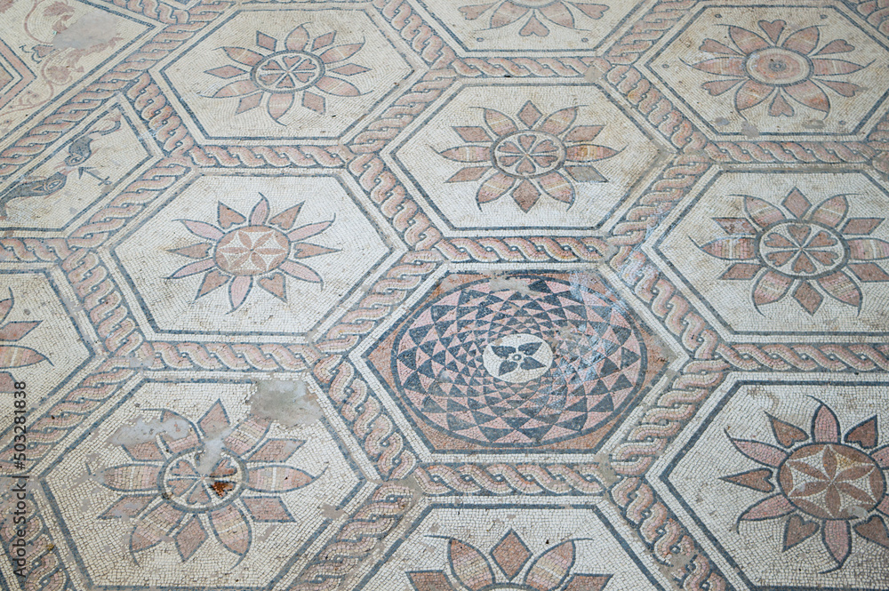 Ancient roman floor mosaic with mythological scene, called The Punishment of Dirce, found in Pula, Croatia