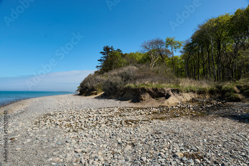 Fototapeta Naklejka Na Ścianę i Meble -  Sandy beach with rocks and Baltic Sea