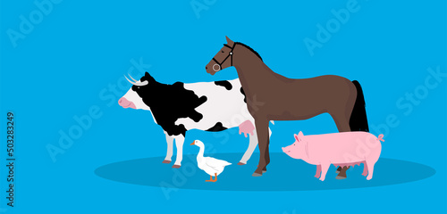 animali, fattoria, veterinario, 
