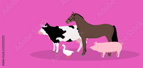 animali, fattoria, veterinario, 