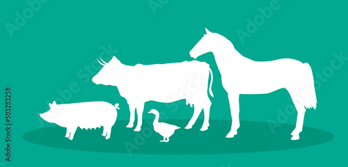 animali, fattoria, veterinario, 
