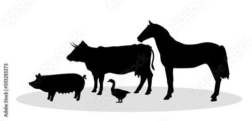 animali, fattoria, veterinario, 