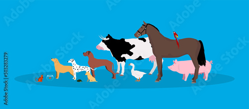 animali, fattoria, veterinario, 