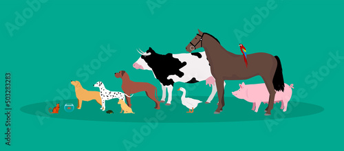 animali, fattoria, veterinario, 