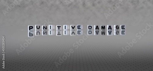 punitive damage word or concept represented by black and white letter cubes on a grey horizon background stretching to infinity
