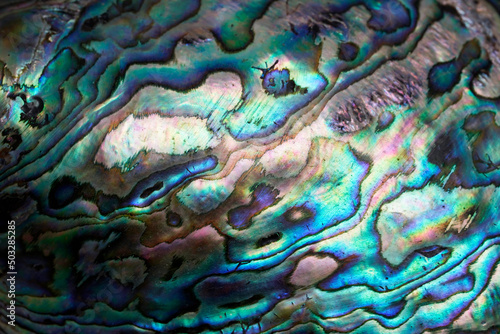 Abstract blue and green pattern, close up of a shell