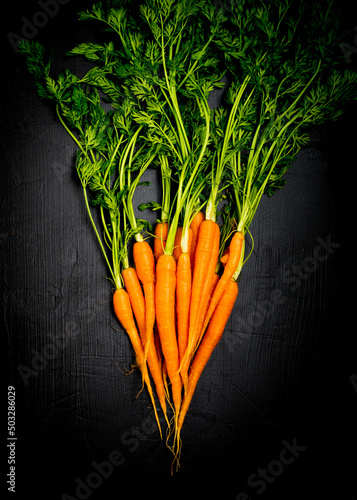 Bunch of carrots with stems on a dark surface