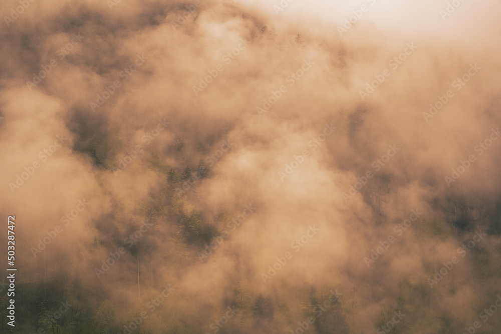 Apocalyptic fog over forest in the mountains - Königssee Alps