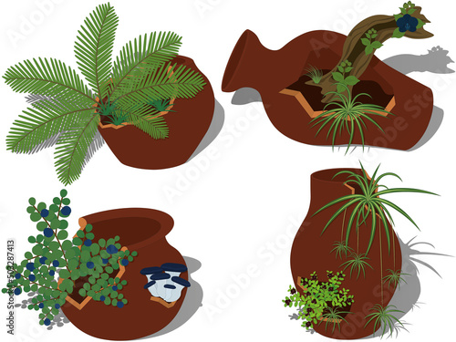 Potted plants collection, plants in cracked broken pots vector illustration