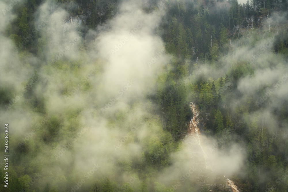 Dramatic fog over green forest and dark mood in the mountains - Königssee Alps Dramatic fog over green forest and dark mood in the mountains - Königssee Alps