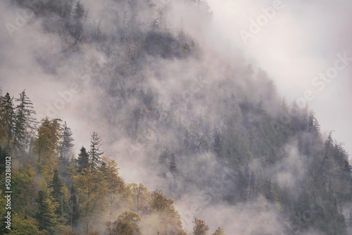 Dramatic fog over forest and dark mood in the mountains - K  nigssee Alps