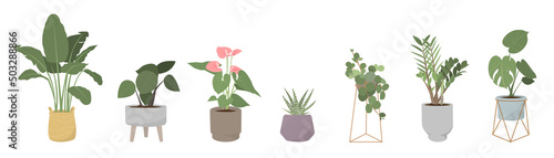Fotografie, Obraz Potted plants vector collection on white background