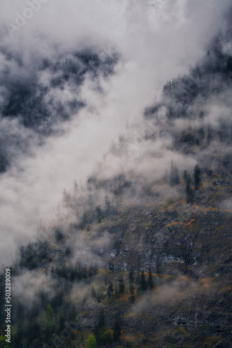Fototapeta Naklejka Na Ścianę i Meble -  Dramatic fog over forest and dark mood in the mountains - Königssee Alps